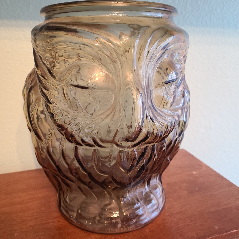 Vintage 10.5" Libbey Glass Owl Jar Vase Smoked Amber Americana Cast 1970s